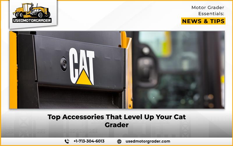 Top Accessories That Level Up Your Cat Grader